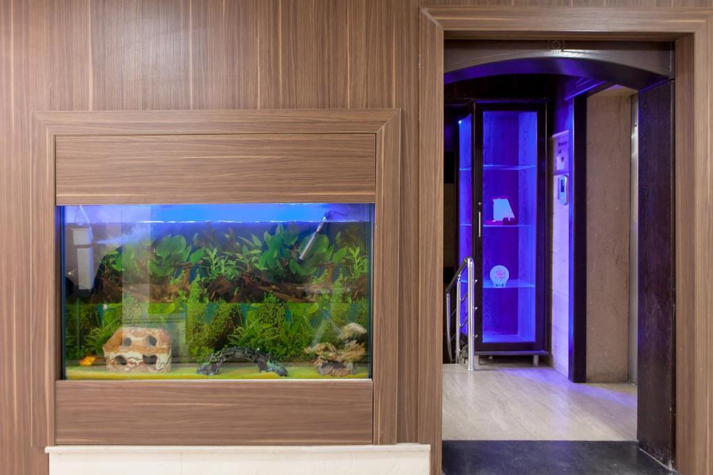Lal Hotel Istanbul Exteriör bild
